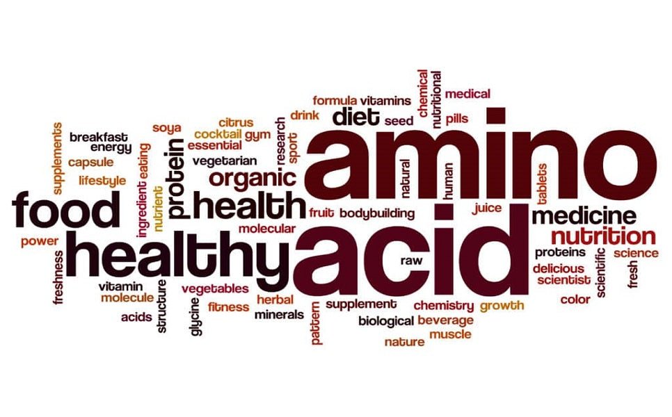 Amino Acids for Immune Support: Strengthening Your Body’s Defenses - Nutrition Plus