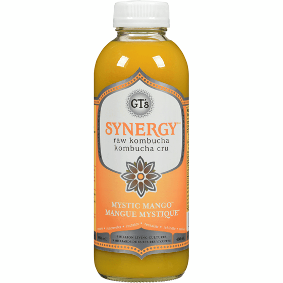 GT's Synergy Raw Kombucha 480mL, Mystic Mango - Nutrition Plus