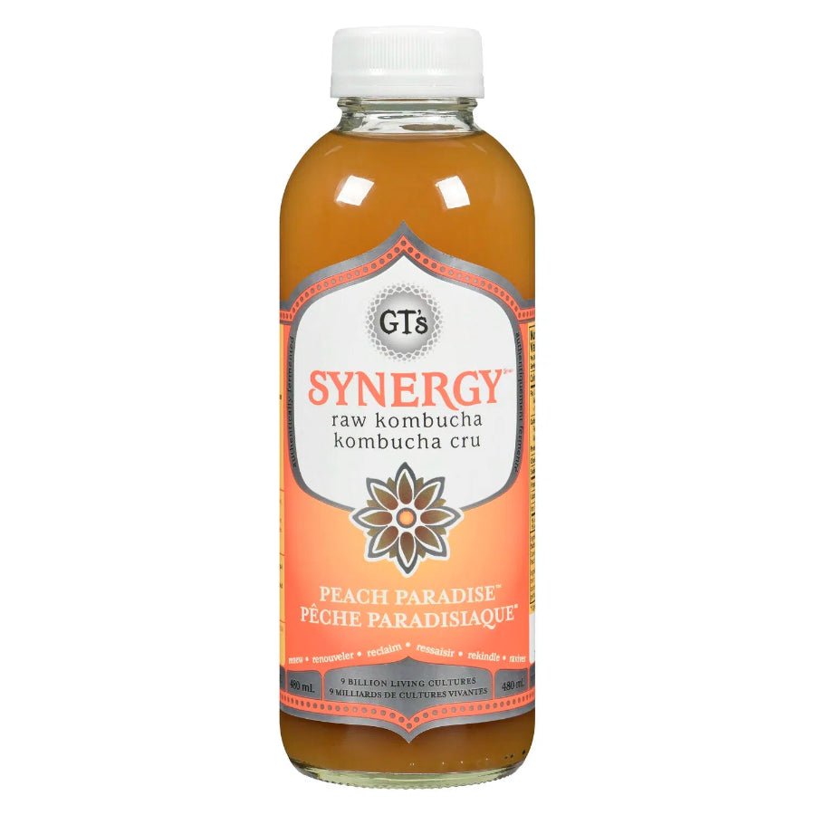 GT's Synergy Raw Kombucha 480mL, Peach Paradise - Nutrition Plus