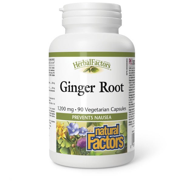Natural Factors Ginger Root 1200mg 90 Veg Capsules - Nutrition Plus
