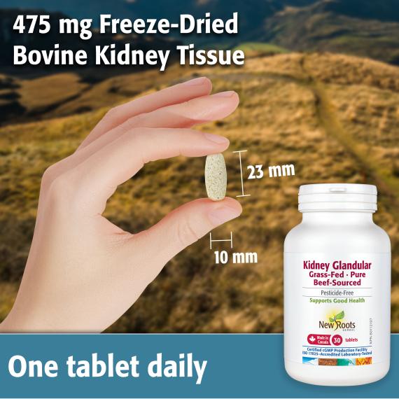 New Roots Kidney Glandular 30 Tablets, Grass - Fed, Beef - Sourced - Nutrition Plus