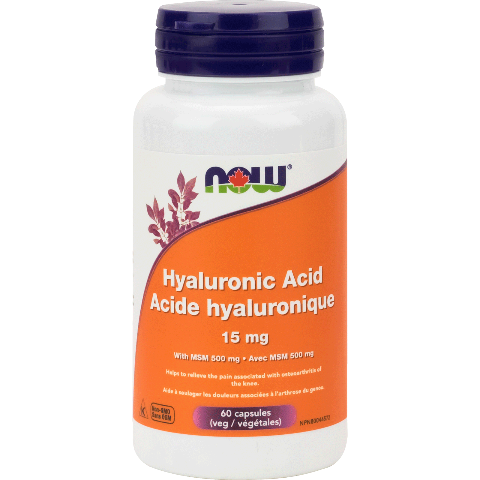 Now Hyaluronic Acid 15mg & MSM 500mg 60 Veg Capsules - Nutrition Plus