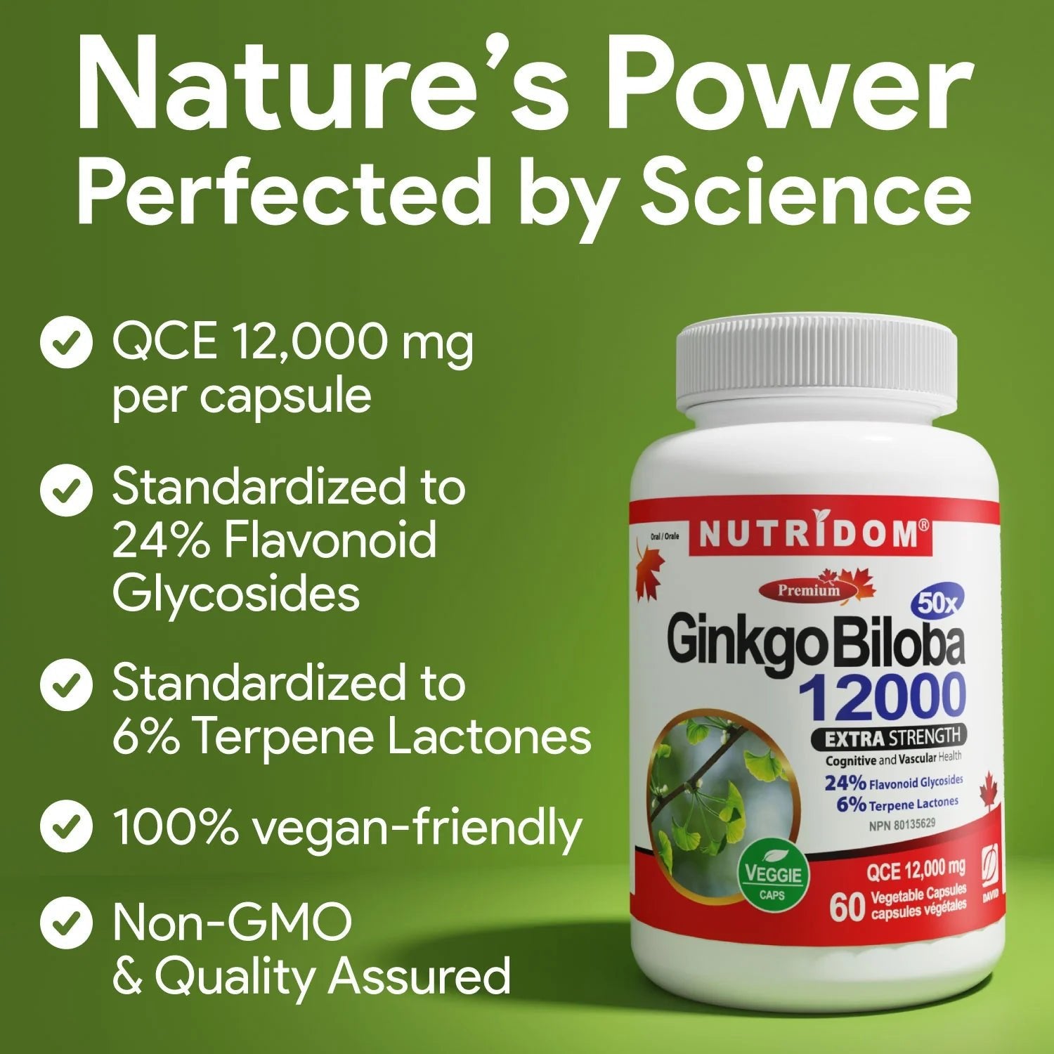 Nutridom Ginkgo Biloba 240mg 60 Veg Capsules - Nutrition Plus