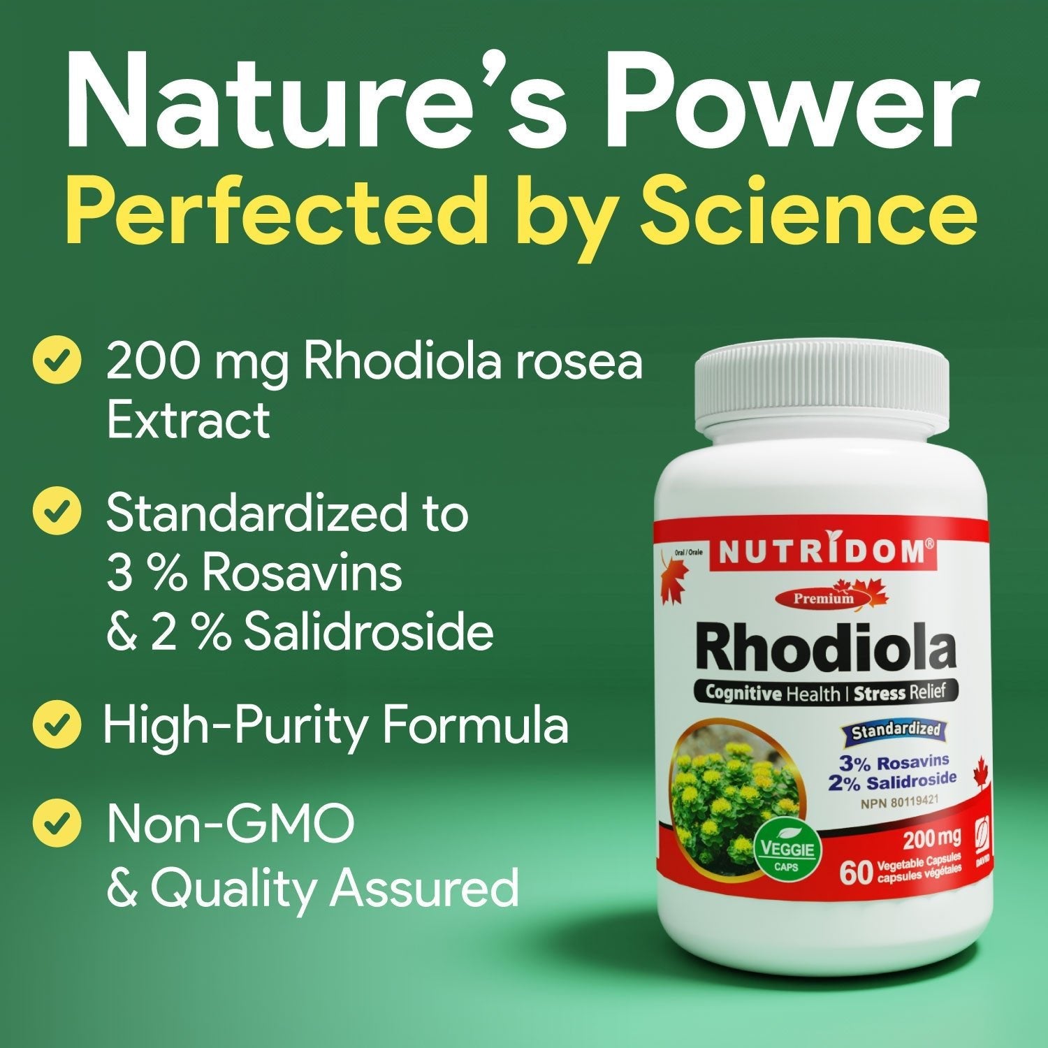 Nutridom Rhodiola 200mg, Adaptogenic Herb, 60 Veg Capsules - Nutrition Plus