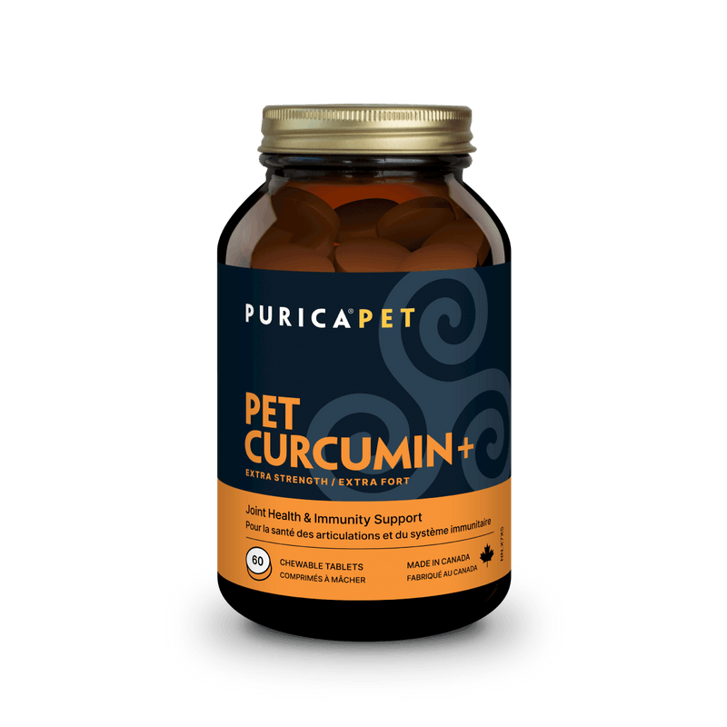 Purica Pet Curcumin Extra Strength with Glucosomine 60 Chewable Tablets - Nutrition Plus