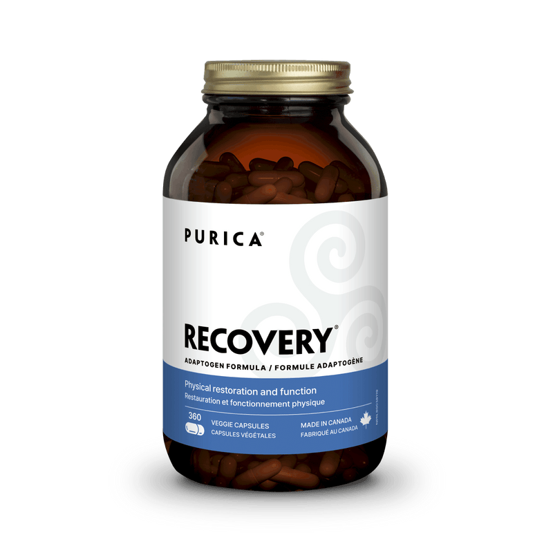 Purica Recovery - Nutrition Plus