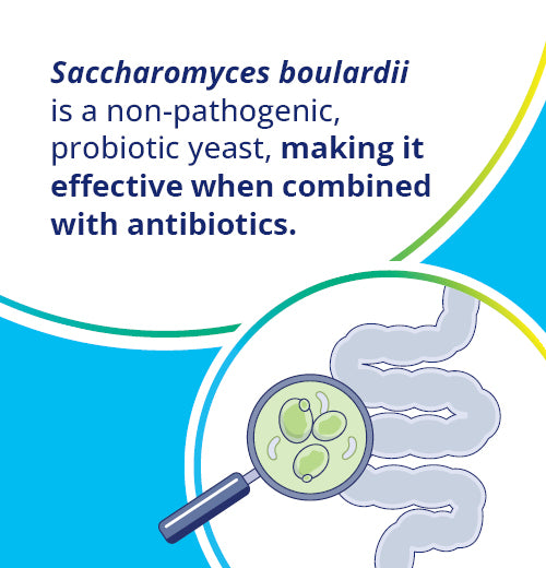 CanPrev Saccharomyces Boulardii 60 Veg Capsules