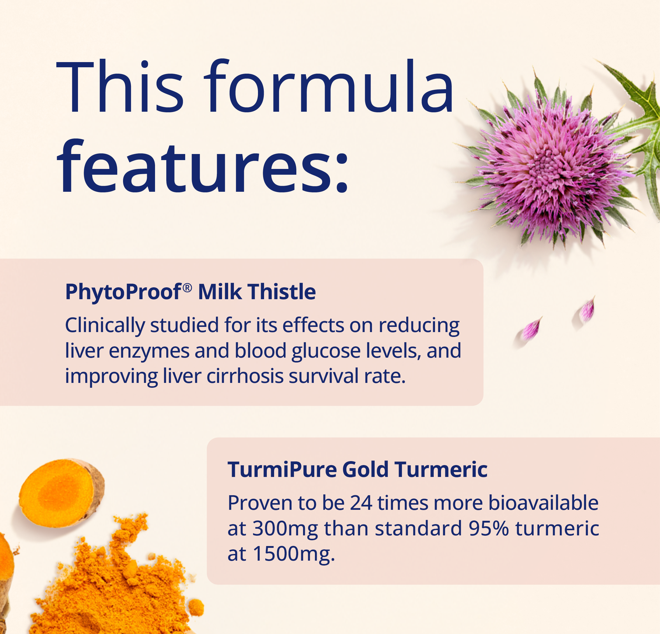 An informational graphic with the headline 'This formula features:' on a light cream background. It includes text blocks for PhytoProof Milk Thistle and TurmiPure Gold Turmeric, plus decorative ingredient imagery: a purple milk thistle flower, small thistle petals, a sliced yellow turmeric root, and a pile of orange-yellow powder.
