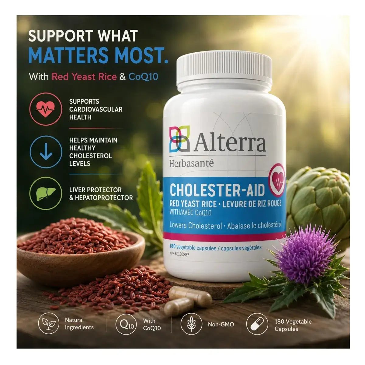 Alterra Cholester - Aid 180 Veg Capsules - Nutrition Plus