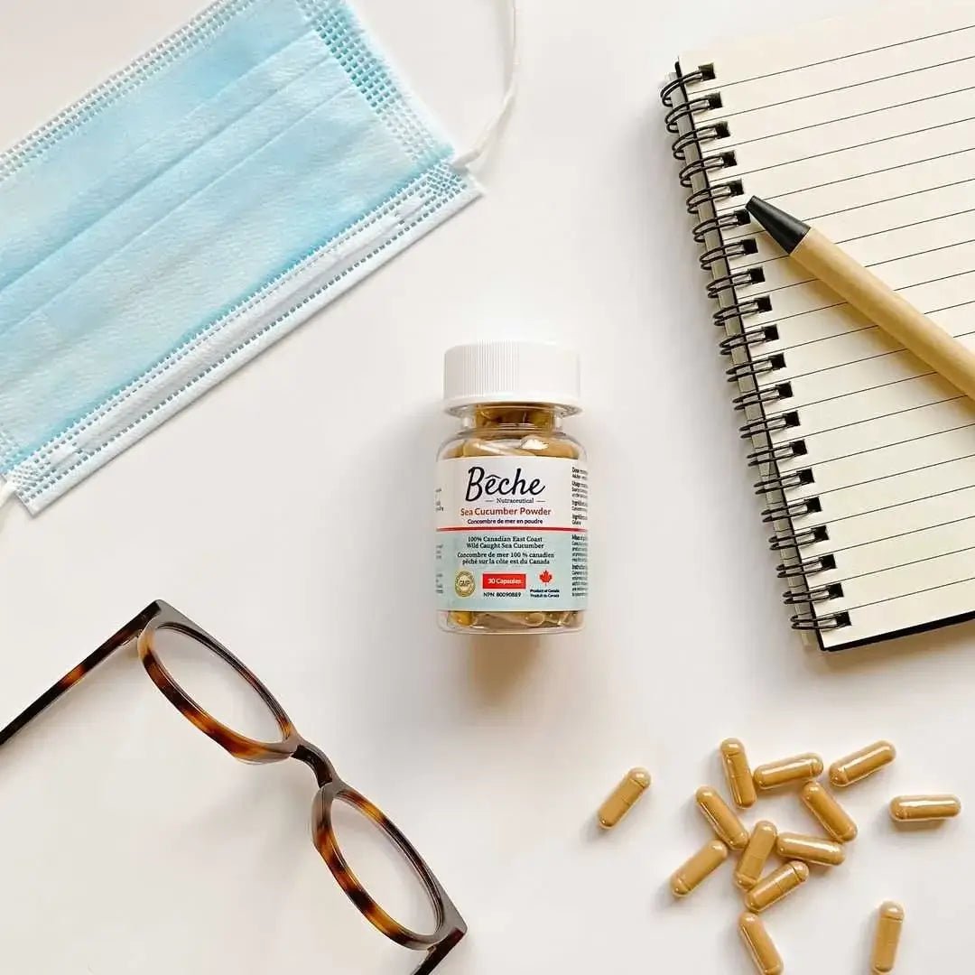 Bêche Sea Cucumber Powder Supplement 30 Capsules - Nutrition Plus