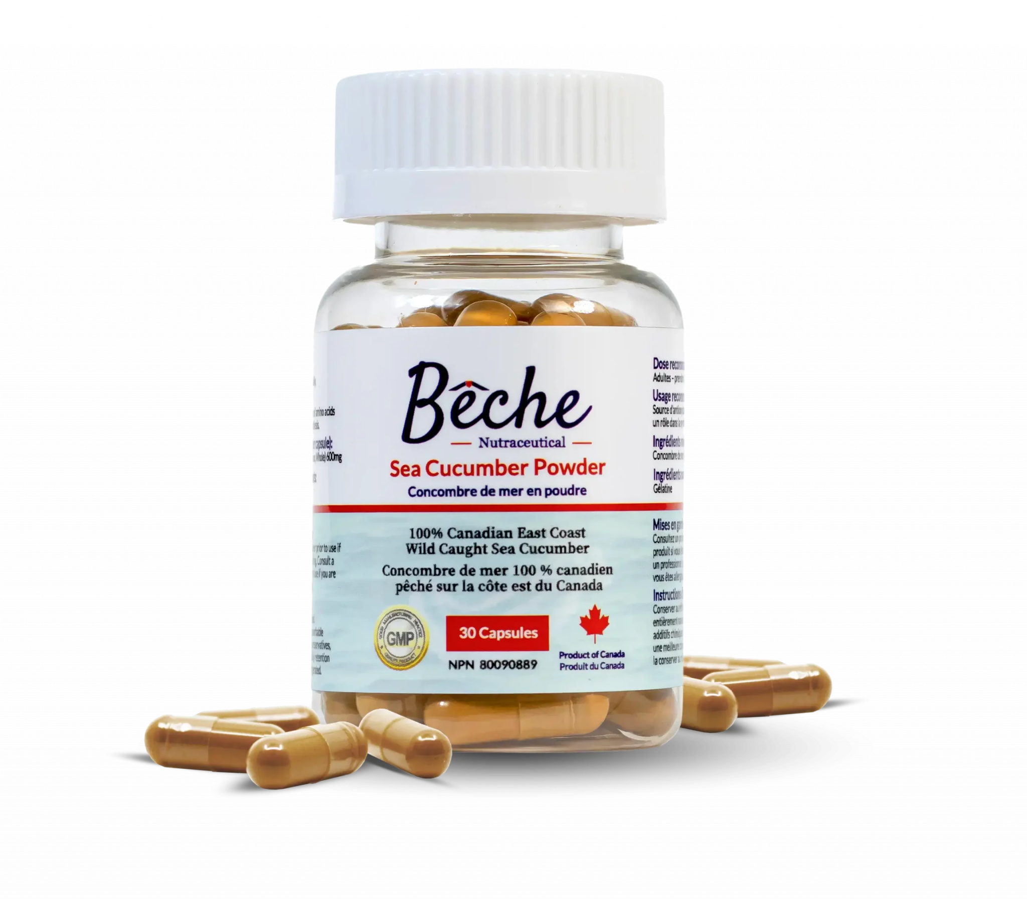 Bêche Sea Cucumber Powder Supplement 30 Capsules - Nutrition Plus