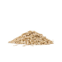 Thumbnail for Bob's Red Mill Organic Extra Thick Rolled Oats 454 Grams - Nutrition Plus