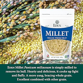 Eden Foods Organic Millet Whole Grain 454 Grams - Nutrition Plus