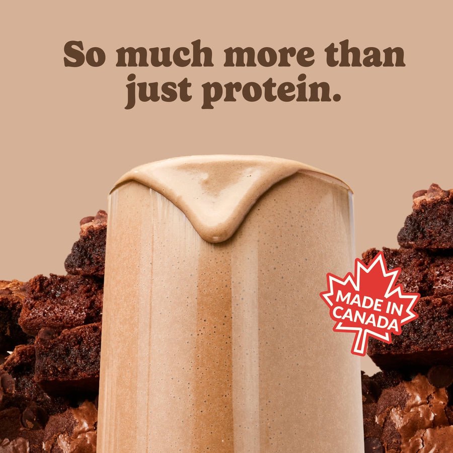 Good Protein All-in-One Shake Protein Blend 440 Grams - Nutrition Plus