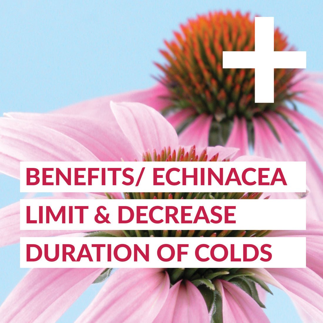 GoodVibes Juice Co. Sick Day + 50mL - Nutrition Plus