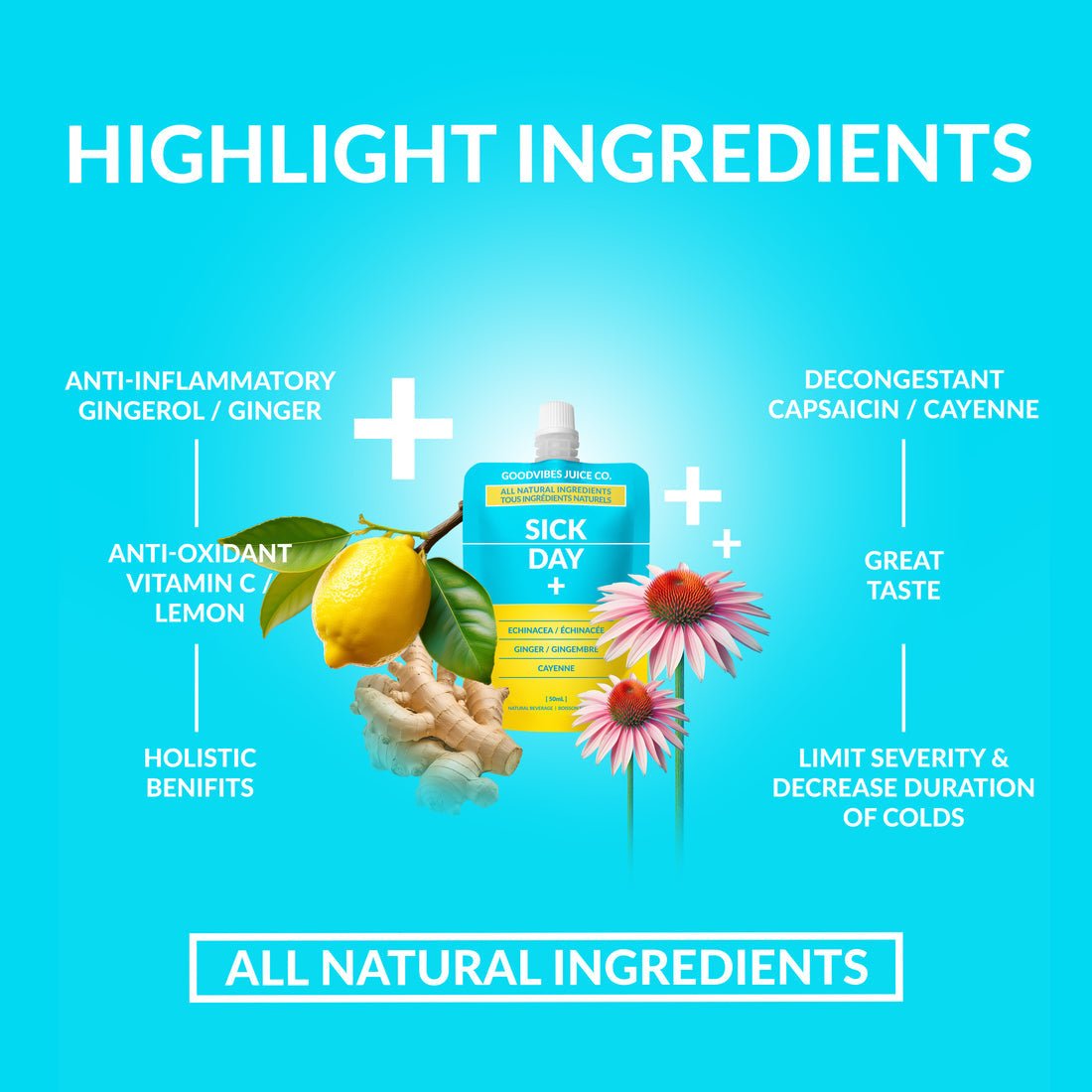 GoodVibes Juice Co. Sick Day + 50mL - Nutrition Plus