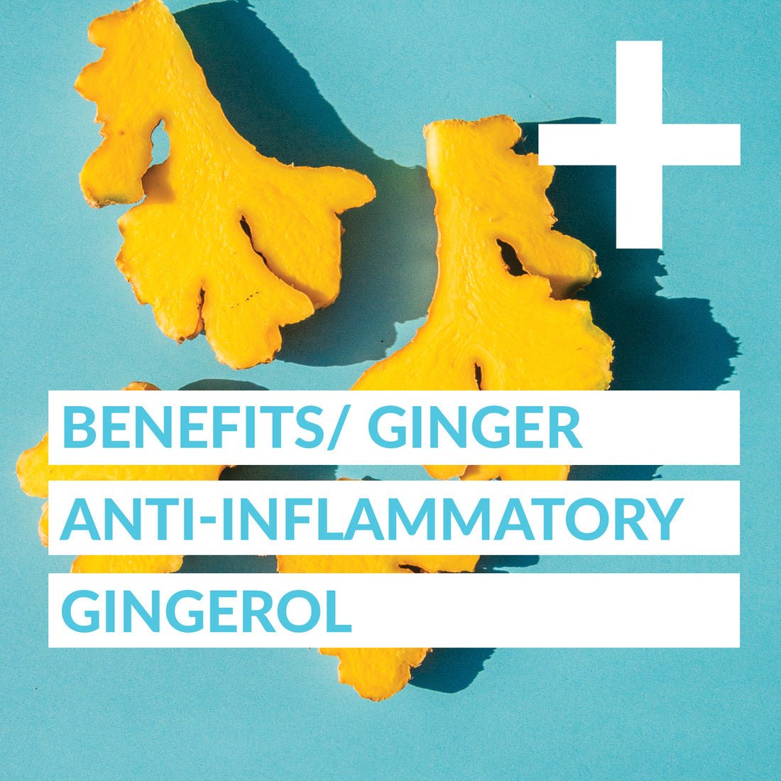 GoodVibes Juice Co. Sick Day + 50mL - Nutrition Plus