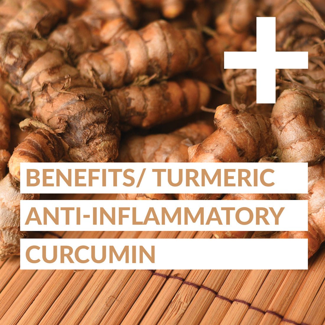 GoodVibes Juice Co. Turmeric Daily + 50 mL - Nutrition Plus