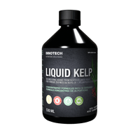 Thumbnail for Innotech Nutrition Liquid Kelp 530 mL – Natural Source of Iodine - Nutrition Plus