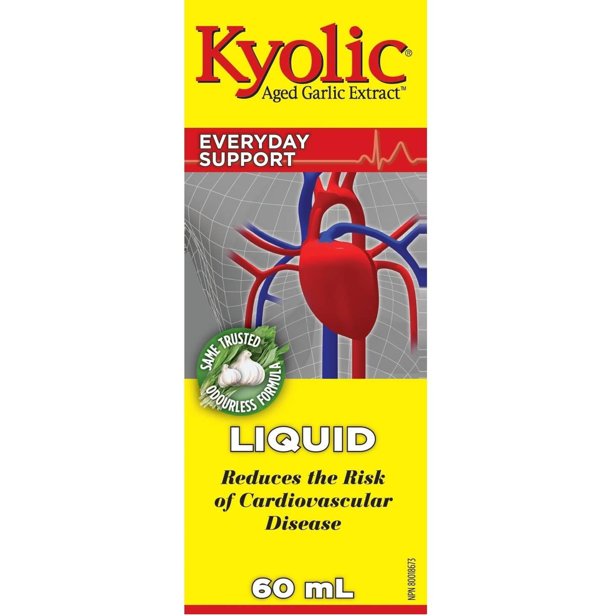 Kyolic Aged Garlic Extract Liquid - Everyday Support 60mL - Nutrition Plus