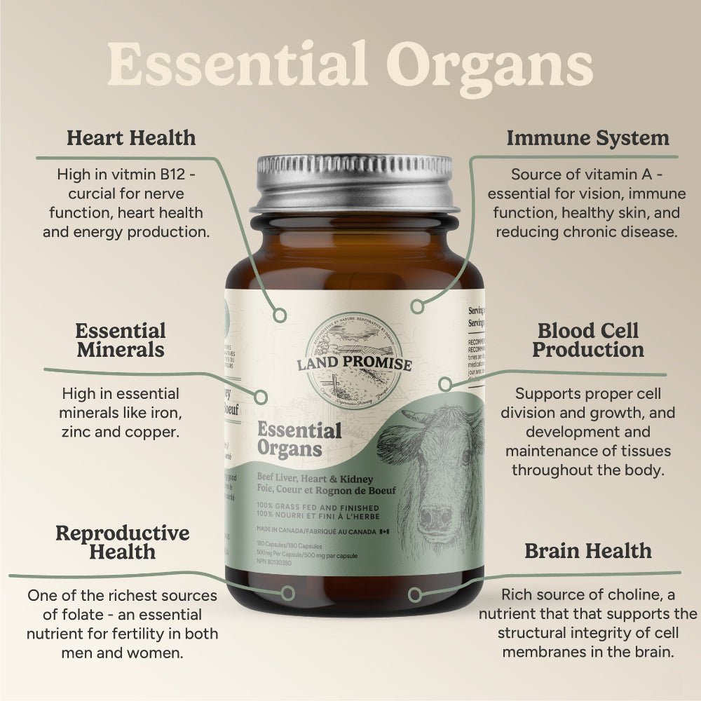 Land Promise Essential Organs 180 Capsules, Grass Fed - Nutrition Plus