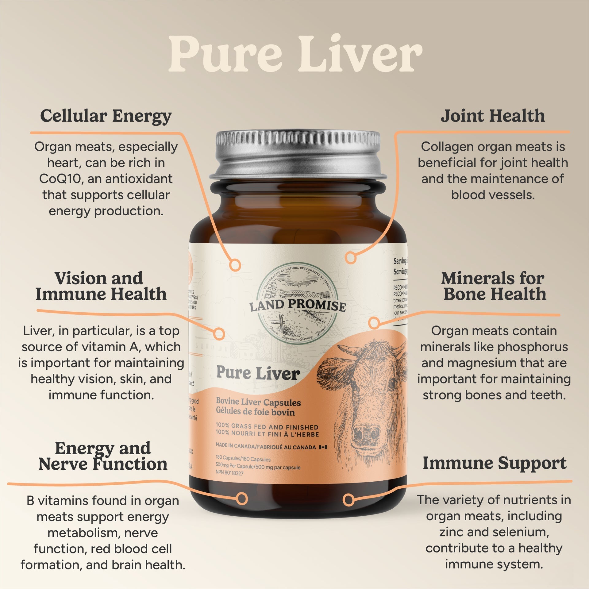 Land Promise Pure Liver 180 Capsules, Grass Fed - Nutrition Plus