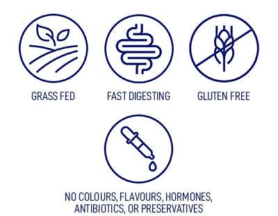 LeanFit Beef Bone Broth Powder 285 Grams - Nutrition Plus