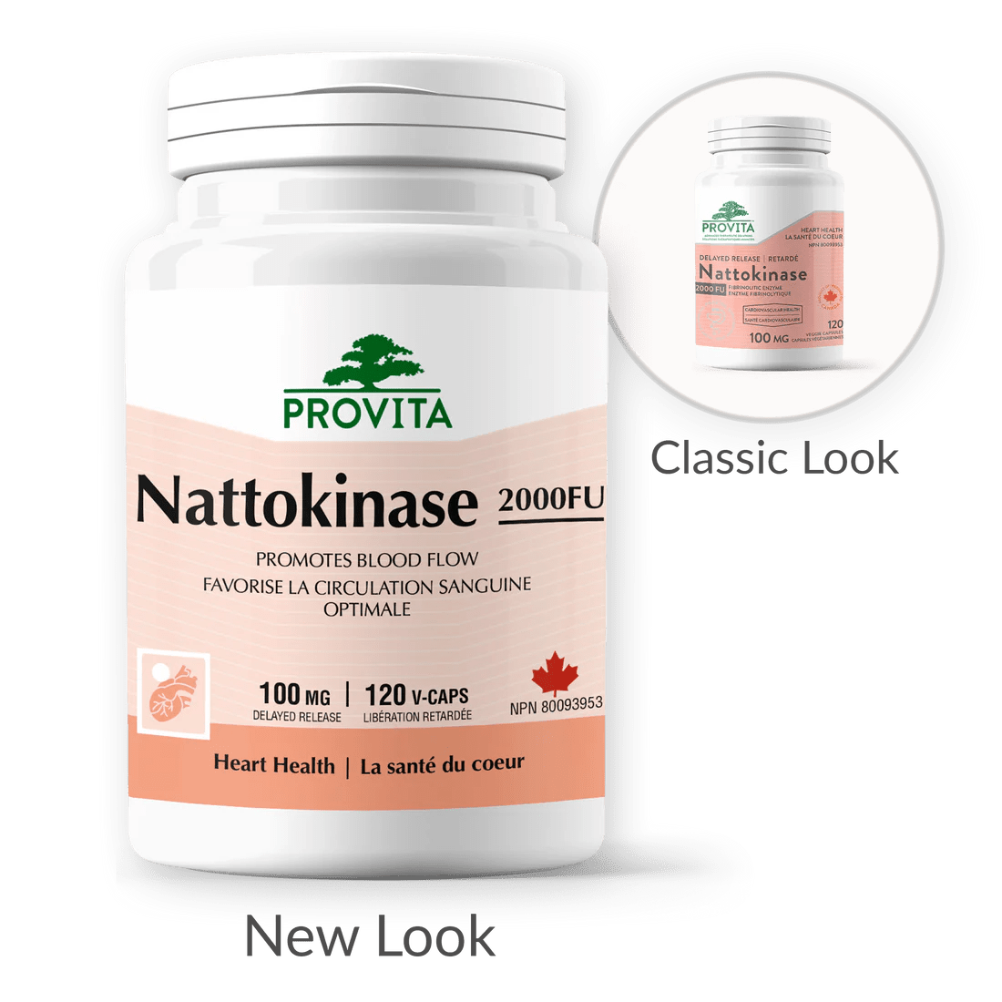 Nattokinase 2000fu 120 Veg Capsules - Nutrition Plus