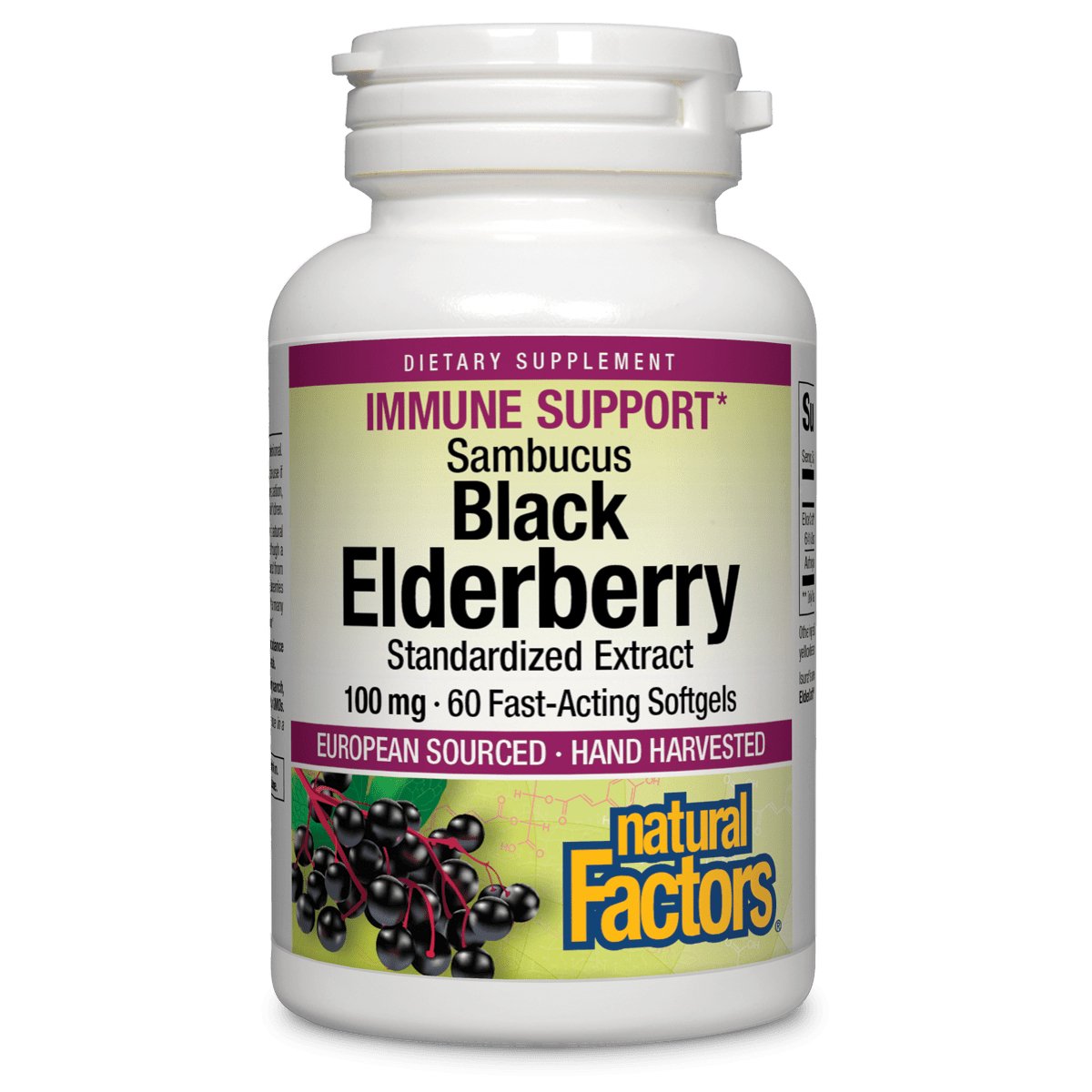 Natural Factors Black Elderberry - Nutrition Plus