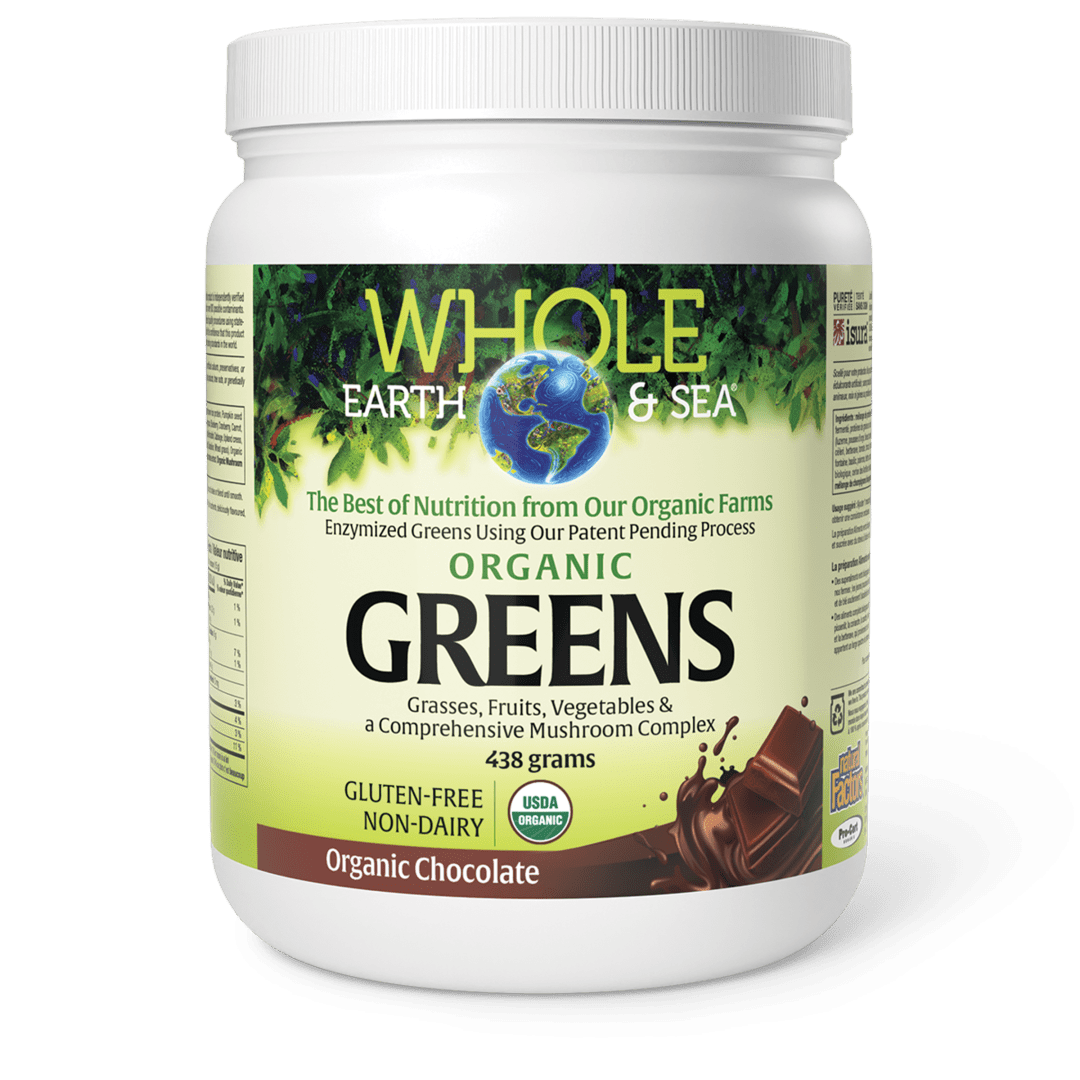 Natural Factors Fermented Greens Powder, Organic Chocolate, 438 Grams - Nutrition Plus