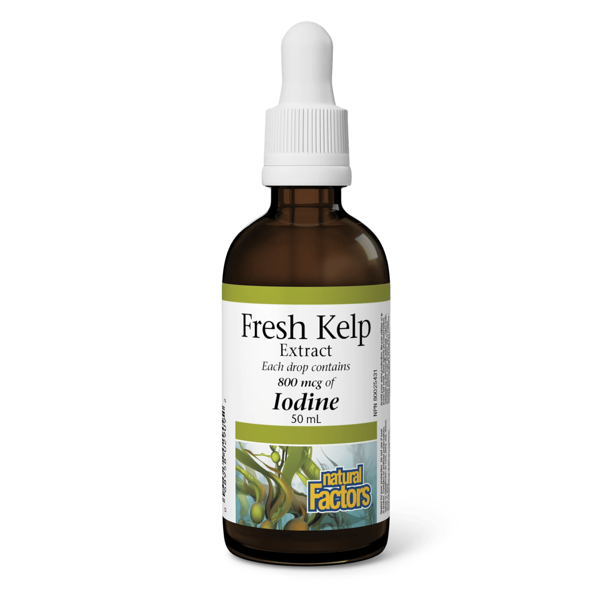 Natural Factors Fresh Kelp Extract 50mL - Nutrition Plus