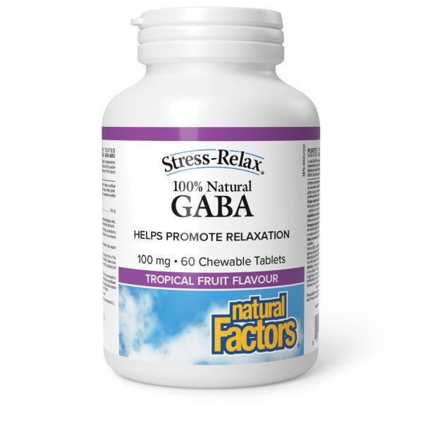 Natural Factors GABA 100mg 60 Chewable Tablets - Nutrition Plus