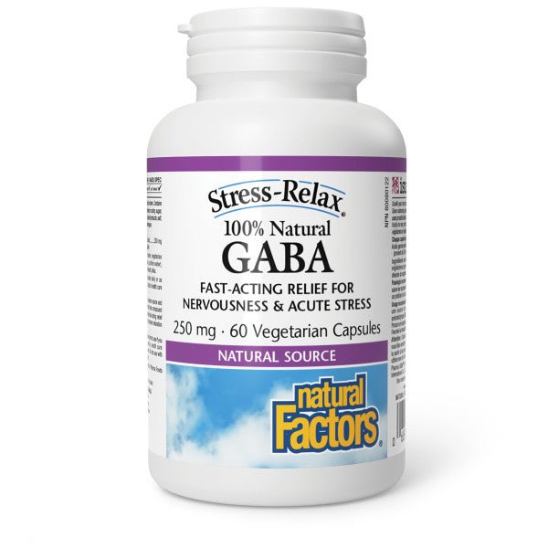 Natural Factors GABA 250mg 60 Veg Capsules - Nutrition Plus