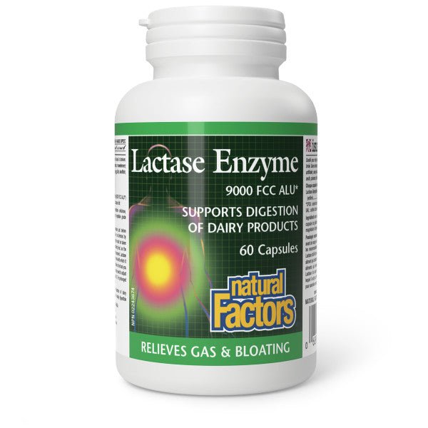 Natural Factors Lactase Enzyme 60 Capsules - Nutrition Plus