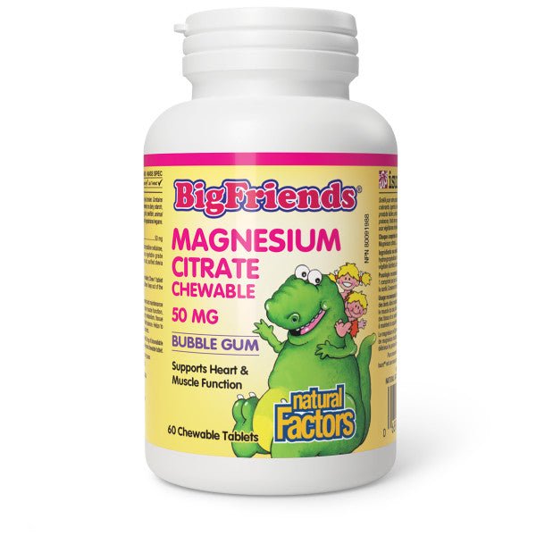 Natural Factors Magnesium Citrate 50mg 60 Chewable Tablets, Bubble Gum - Nutrition Plus