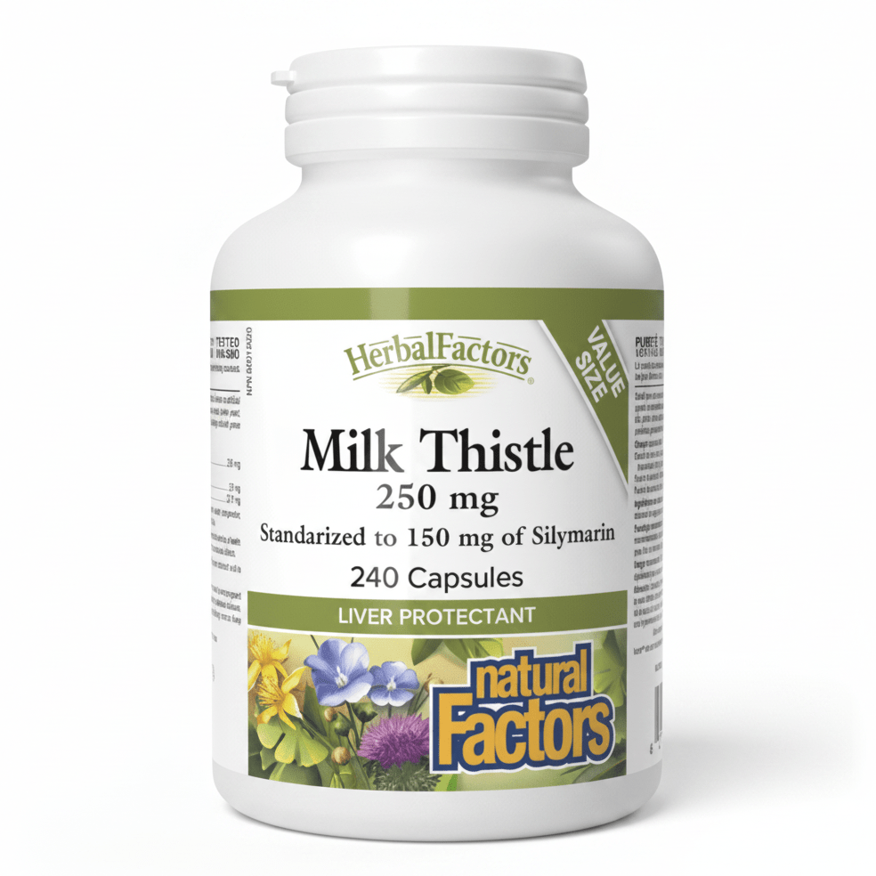 Natural Factors Milk Thistle Silymarin 240 Capsules, Value Size - Nutrition Plus