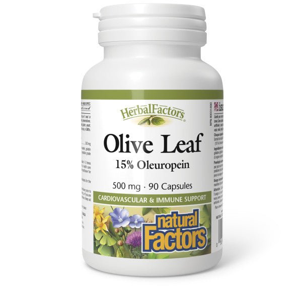 Natural Factors Olive Leaf Extract 500 mg 90 Capsules - Nutrition Plus