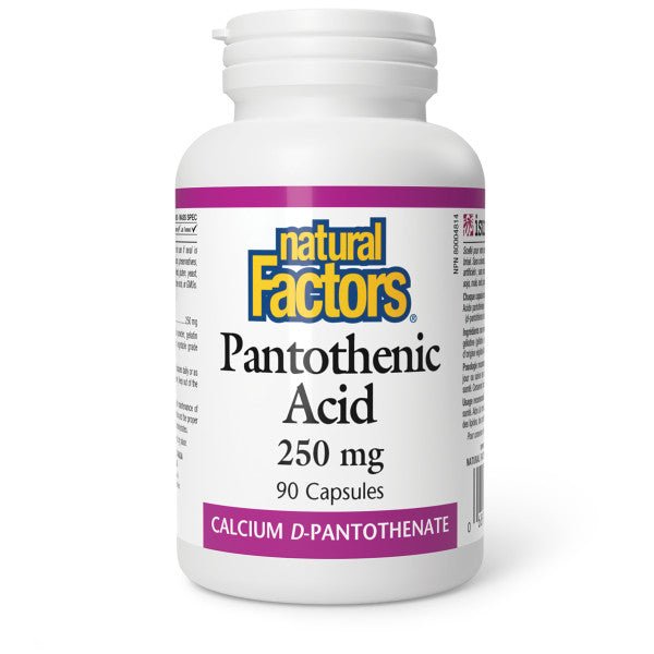 Natural Factors Pantothenic Acid 250 mg 90 Capsules - Nutrition Plus