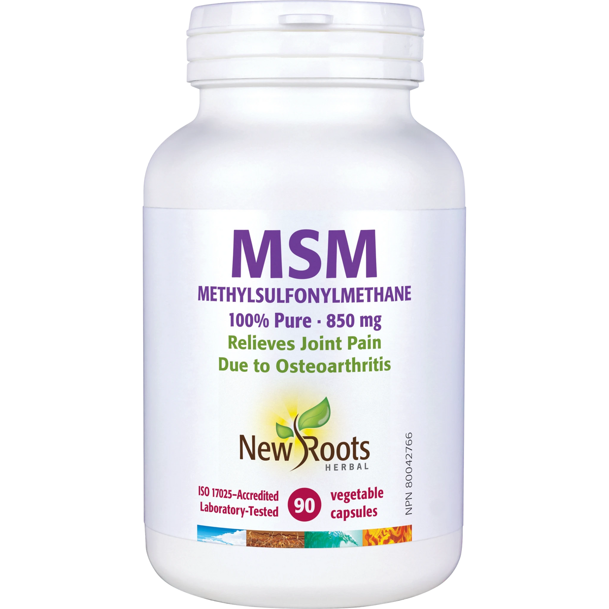 New Roots MSM 90 Veg Capsules - Nutrition Plus