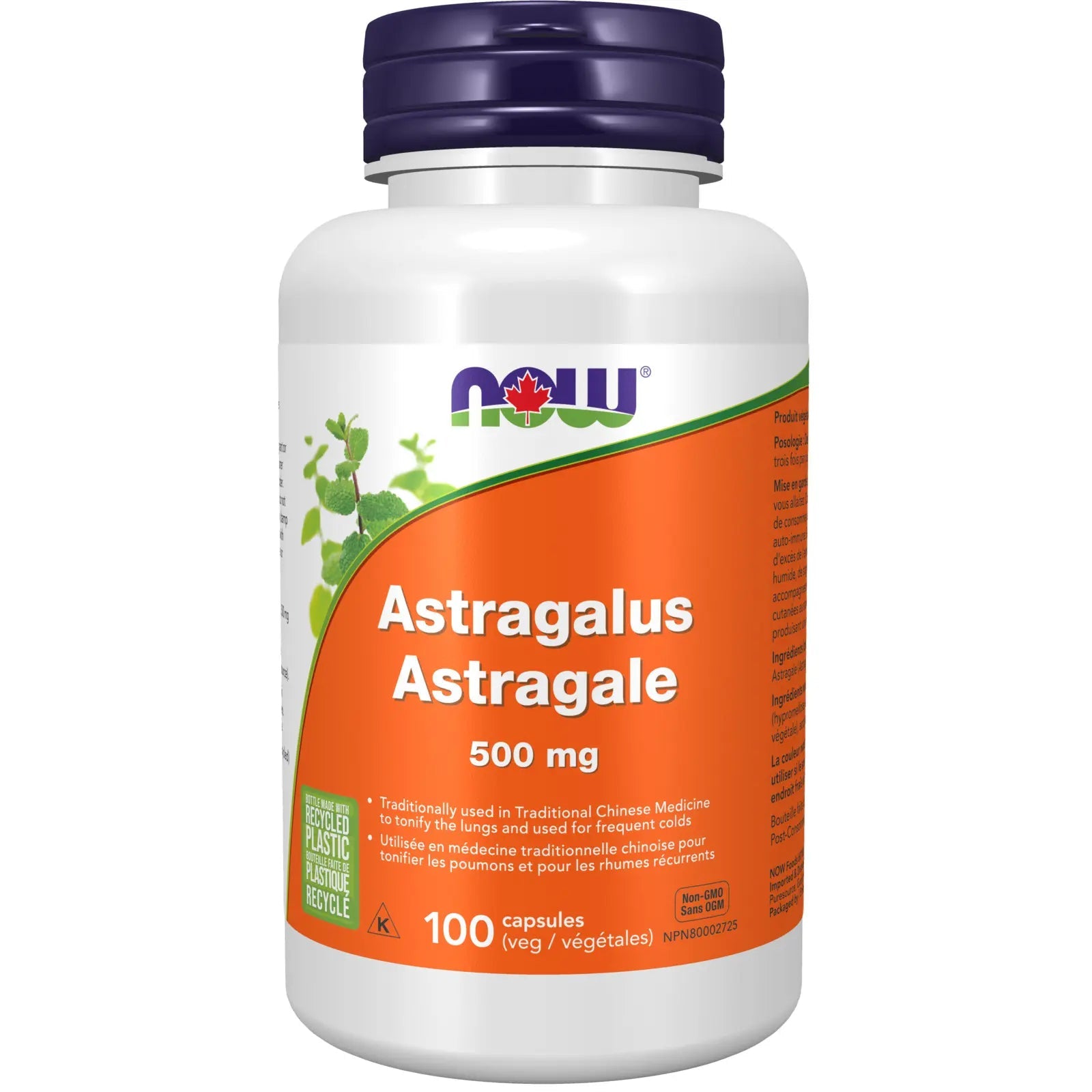 Now Astragalus 500mg 100 Veg Capsules - Nutrition Plus