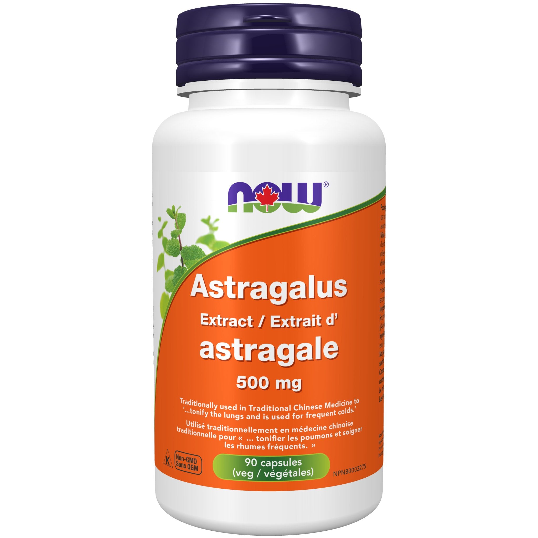 Now Astragalus Extract 500mg 90 Veg Capsules - Nutrition Plus