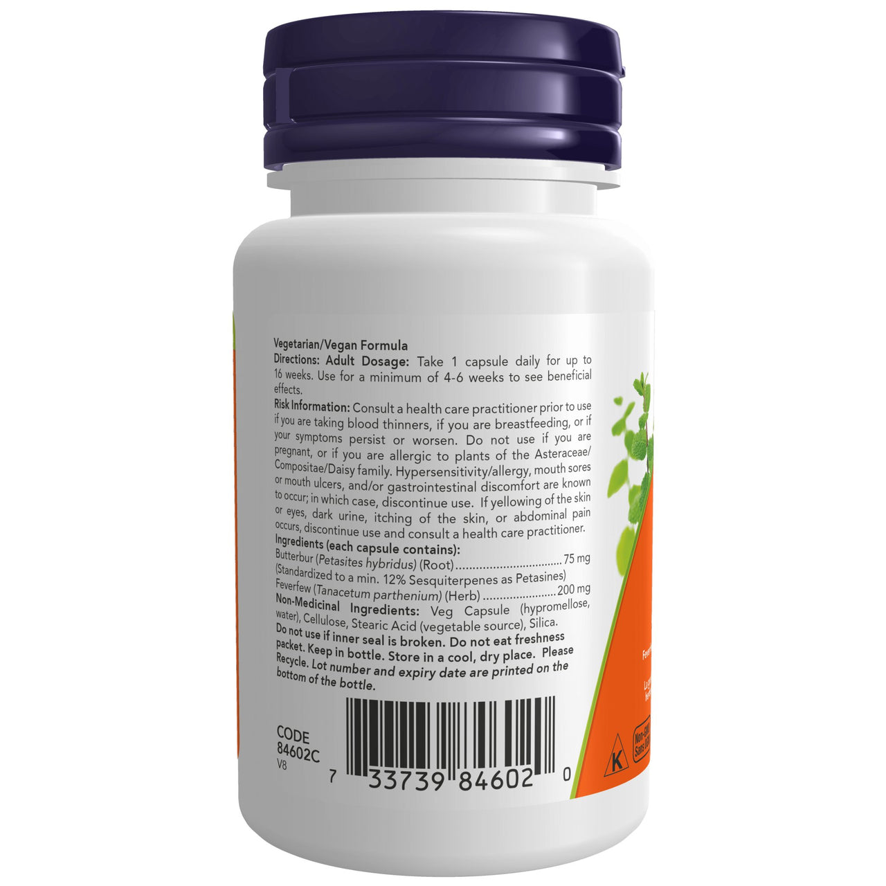 Now Butterbur Extract 75mg 60 Veg Capsules - Nutrition Plus