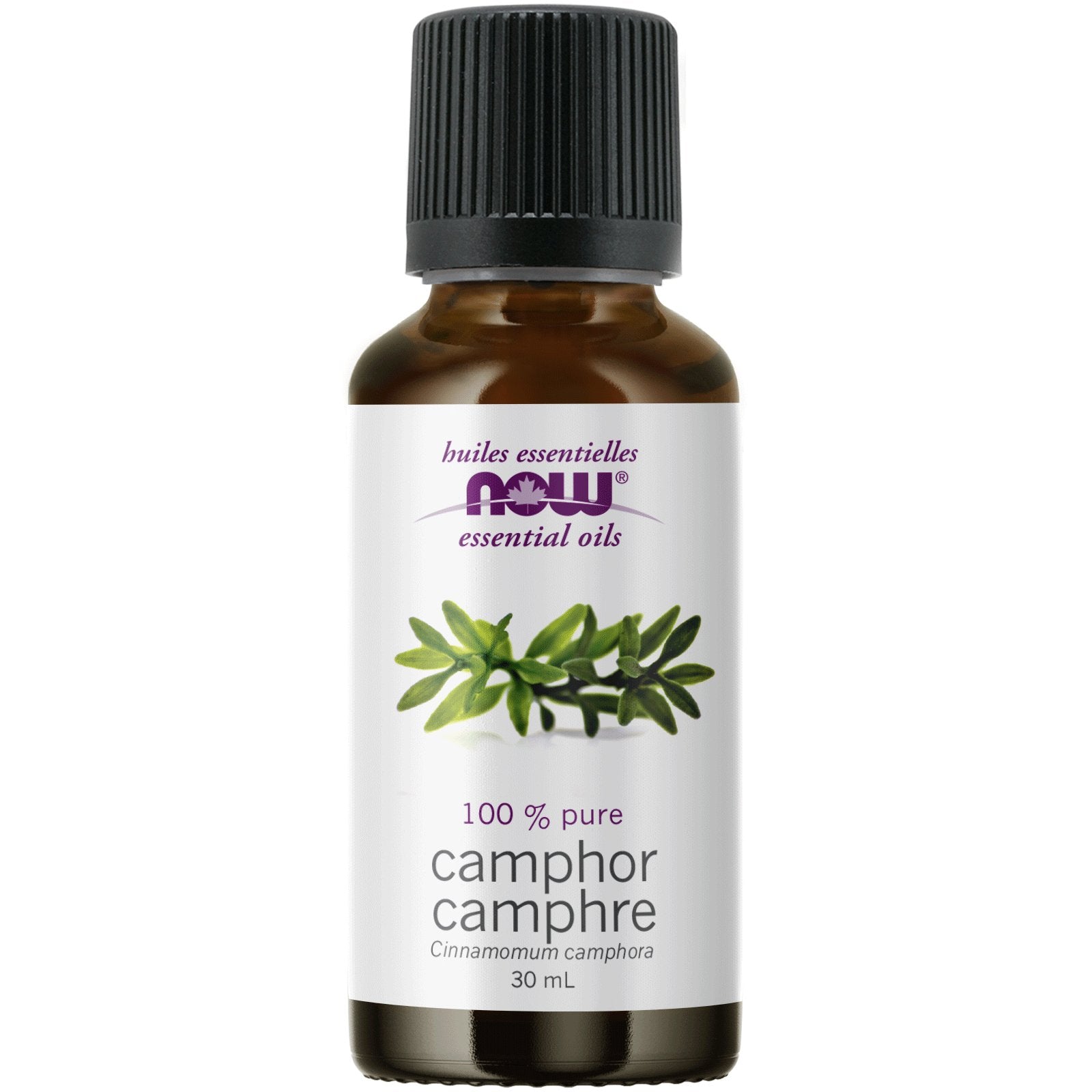 Now Camphor Oil 30mL - Nutrition Plus