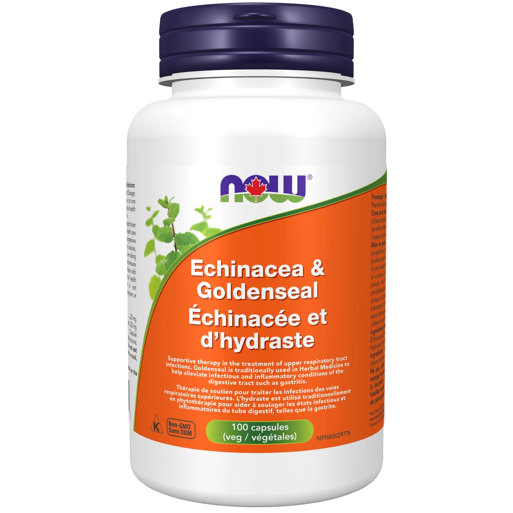 Now Echinacea and Goldenseal 100 Veg Capsules - Nutrition Plus