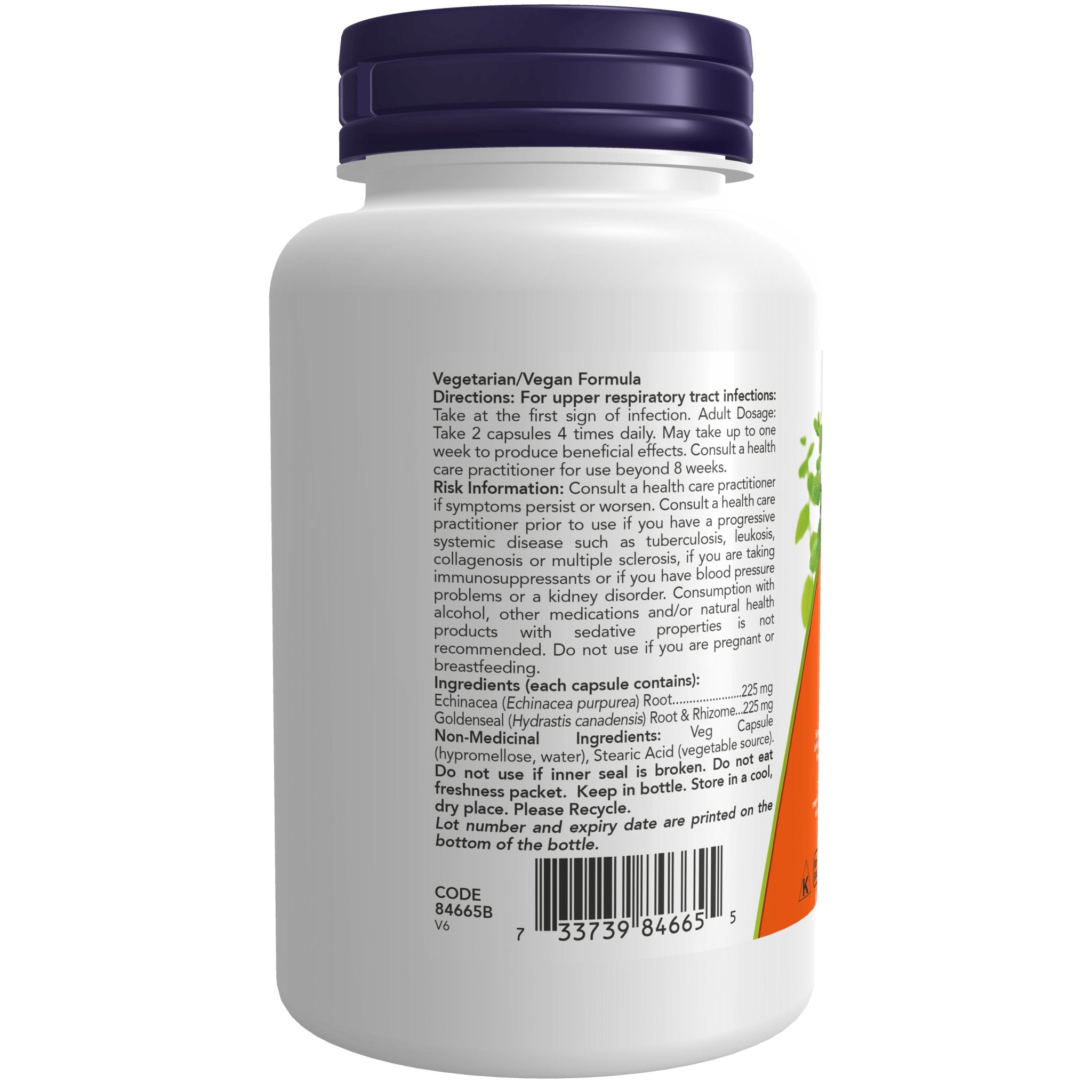 Now Echinacea and Goldenseal 100 Veg Capsules - Nutrition Plus