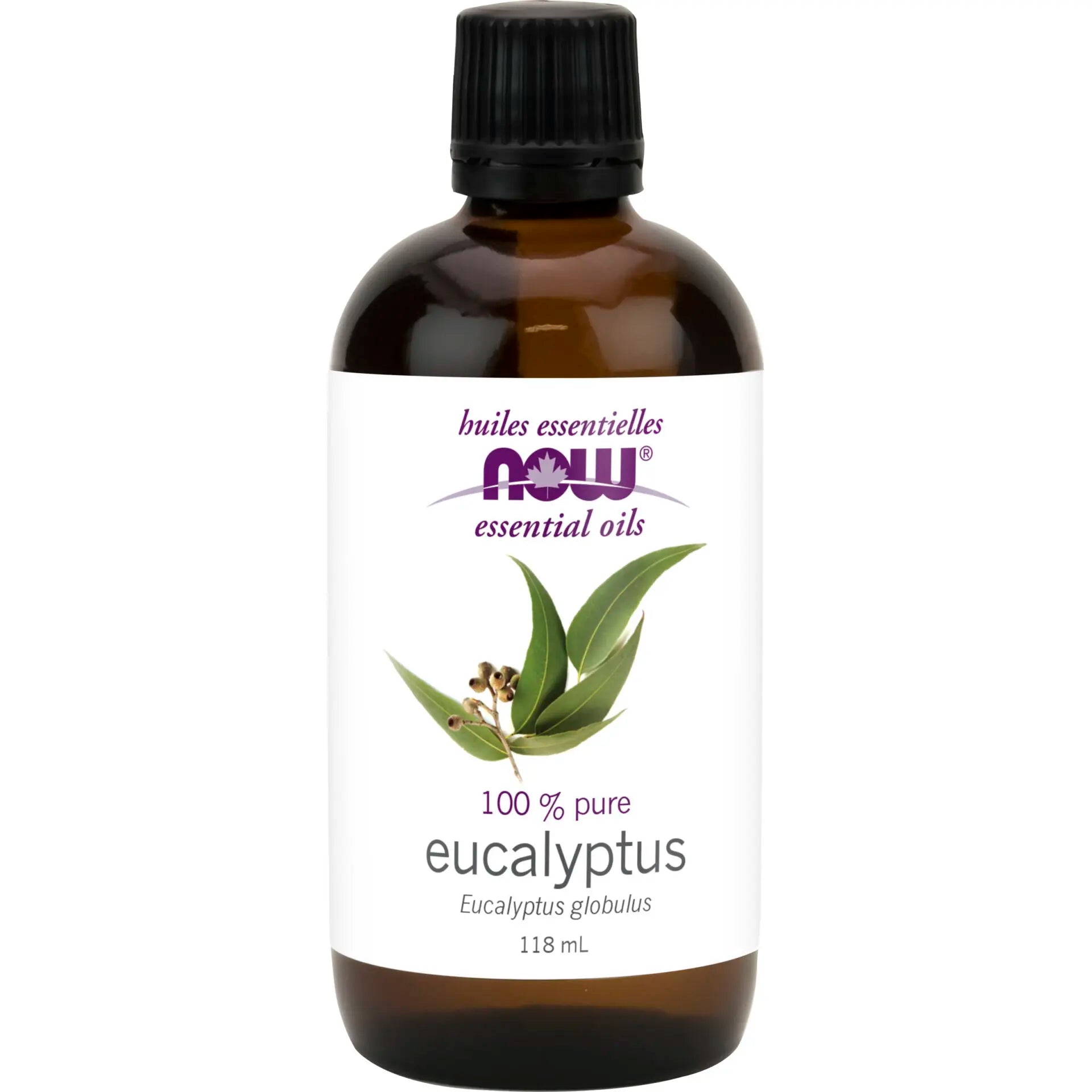 Now Eucalyptus Oil 118mL - Nutrition Plus