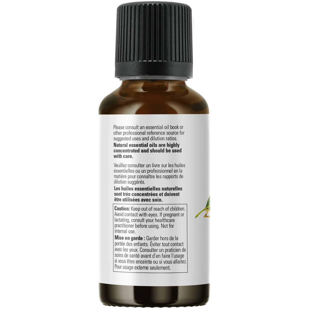 Now Eucalyptus Radiata Oil 30mL - Nutrition Plus