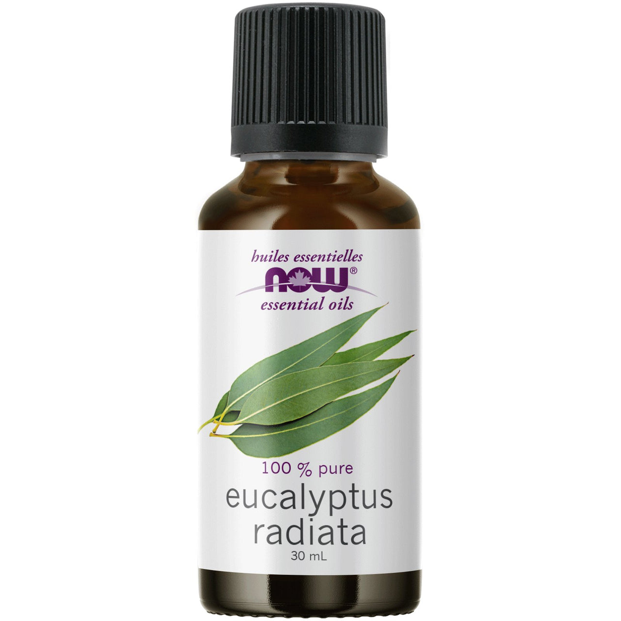 Now Eucalyptus Radiata Oil 30mL - Nutrition Plus