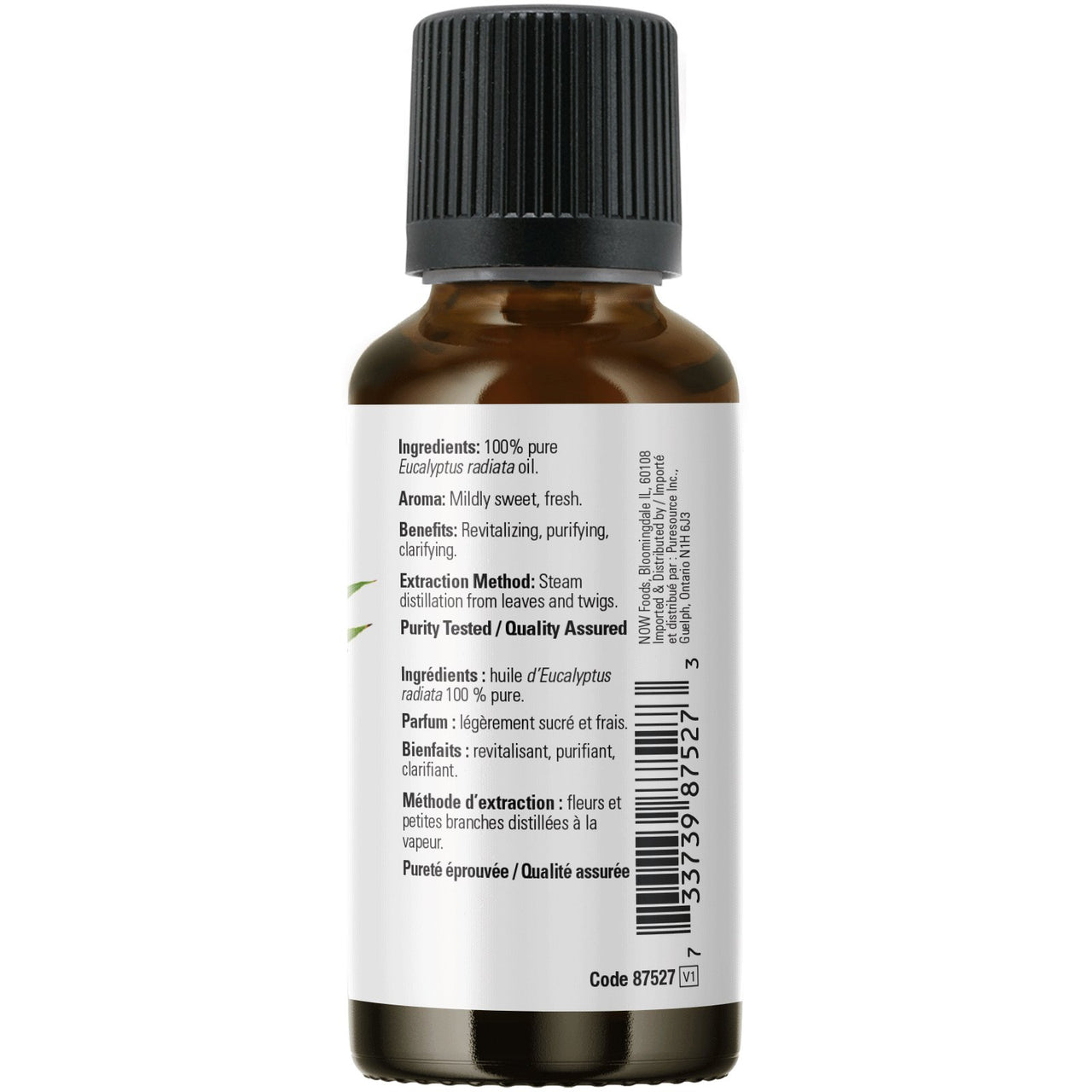 Now Eucalyptus Radiata Oil 30mL - Nutrition Plus