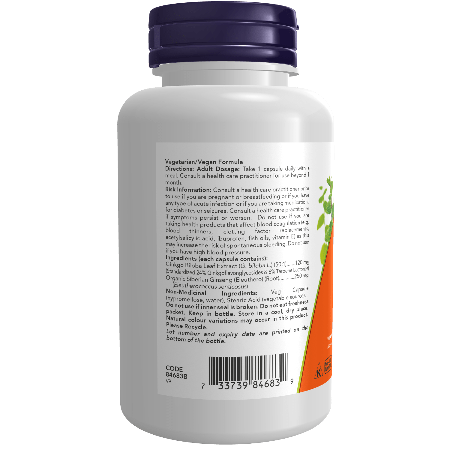 Now Ginkgo Biloba 120mg 100 Veg Capsules - Nutrition Plus